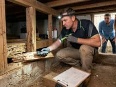 Renegotiating a Property Purchase After Pest Damage Is Found During a Pre Purchase Inspection