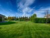 Getting Mulch Solutions for a More Beautiful Lawn Home