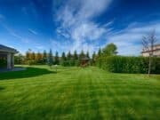 Getting Mulch Solutions for a More Beautiful Lawn