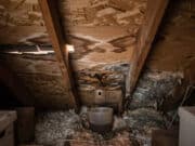 Why Ignoring Minor Roof Problems Could Be the Most Expensive Mistake You Make