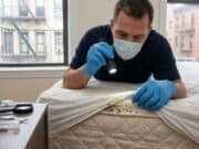 Bed Bug Treatment in New York City: From Detection to Full Elimination